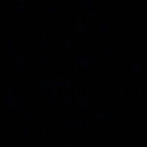 Meet your Posher, Mollie